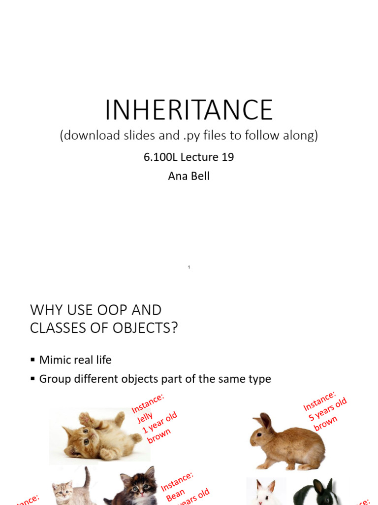 Understanding OOP and Inheritance in Python | PDF