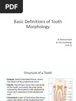 Surfaces of Teeth Explained | PDF | Dental Anatomy | Tooth