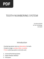 Dental Tooth Numbering Systems Explained | PDF | Dentistry | Dental Anatomy