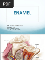 Enamel: Physical and Chemical Properties | PDF | Tooth Enamel | Tooth