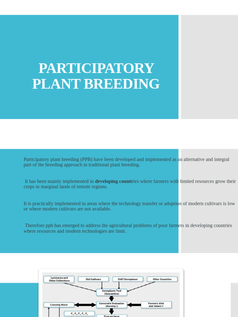 Participatory Plant Breeding Overview | PDF | Plant Breeding | Agriculture