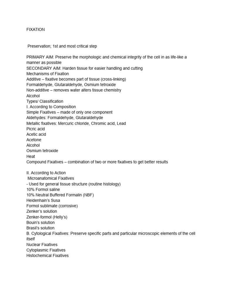 Fixation | PDF