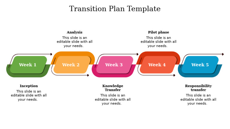 Transition Plan Template Overview | PDF