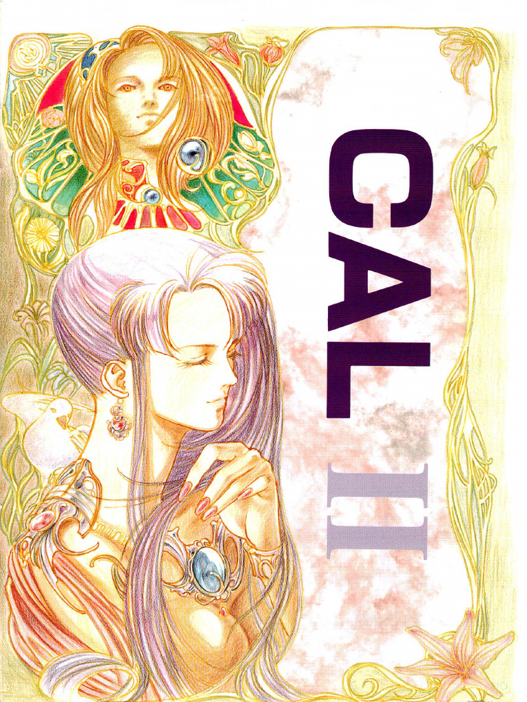 Cal 2 Manual | PDF