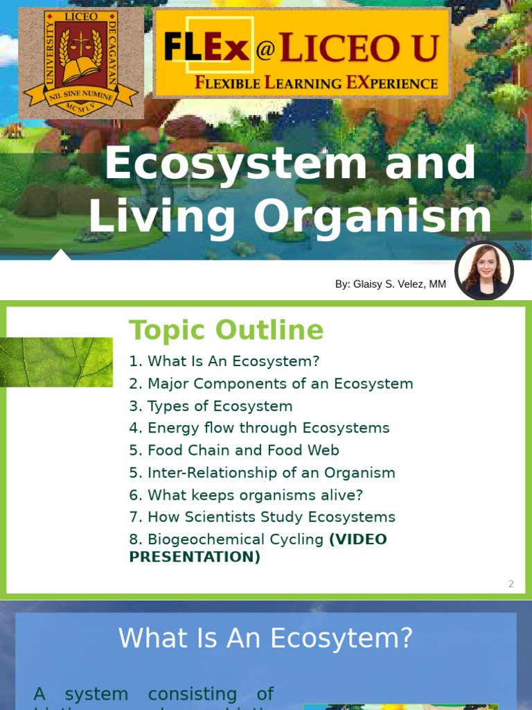 Understanding Ecosystems and Organisms | PDF | Ecosystem | Food Web
