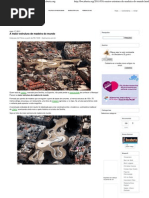 A Maior Estrutura de Madeira Do Mundo _ Bocaberta