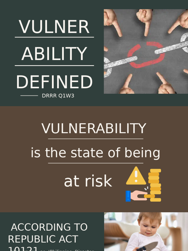 Understanding Community Vulnerability | PDF