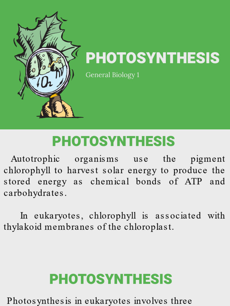 Gb1 q2 4 Photosynthesis | PDF | Photosynthesis | Nicotinamide Adenine ...