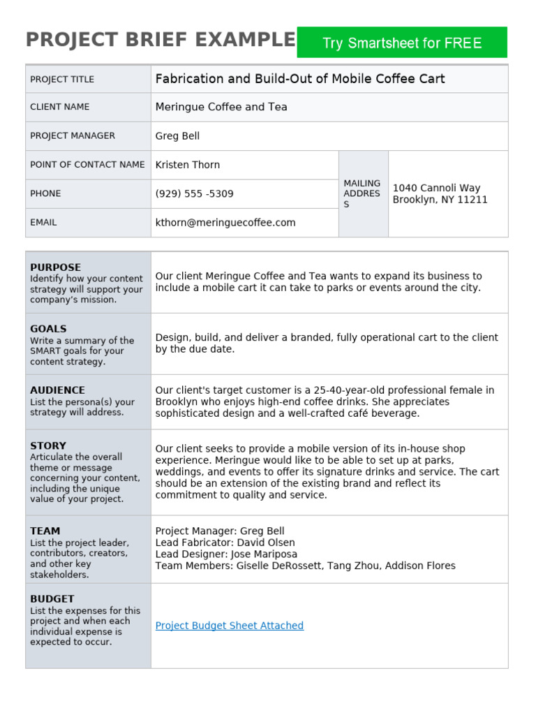 IC Project Brief Example 11540 WORD | PDF