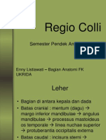 Regio Coli