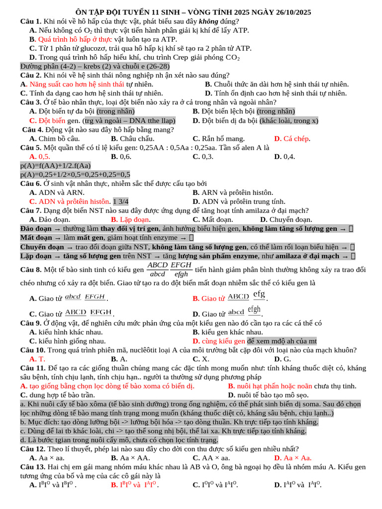 On Tap 01 GV | PDF