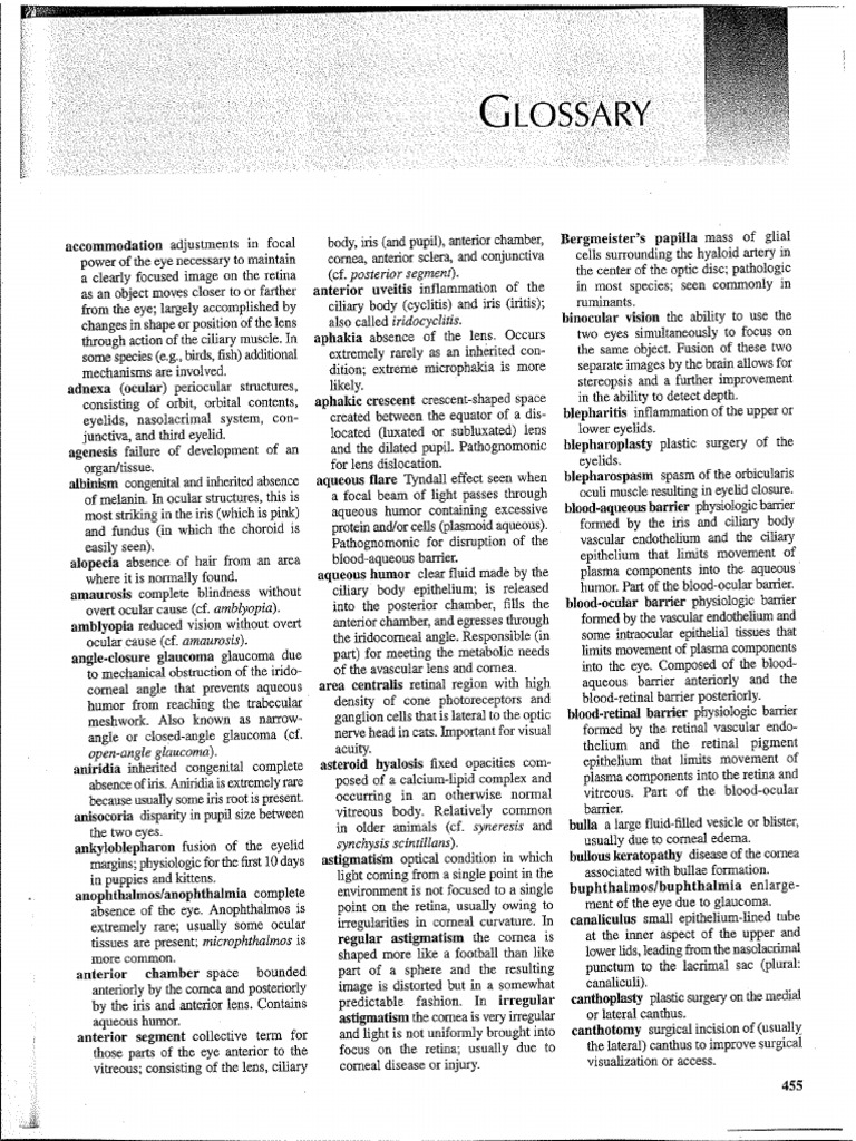 Glossary Ocular Terms | PDF