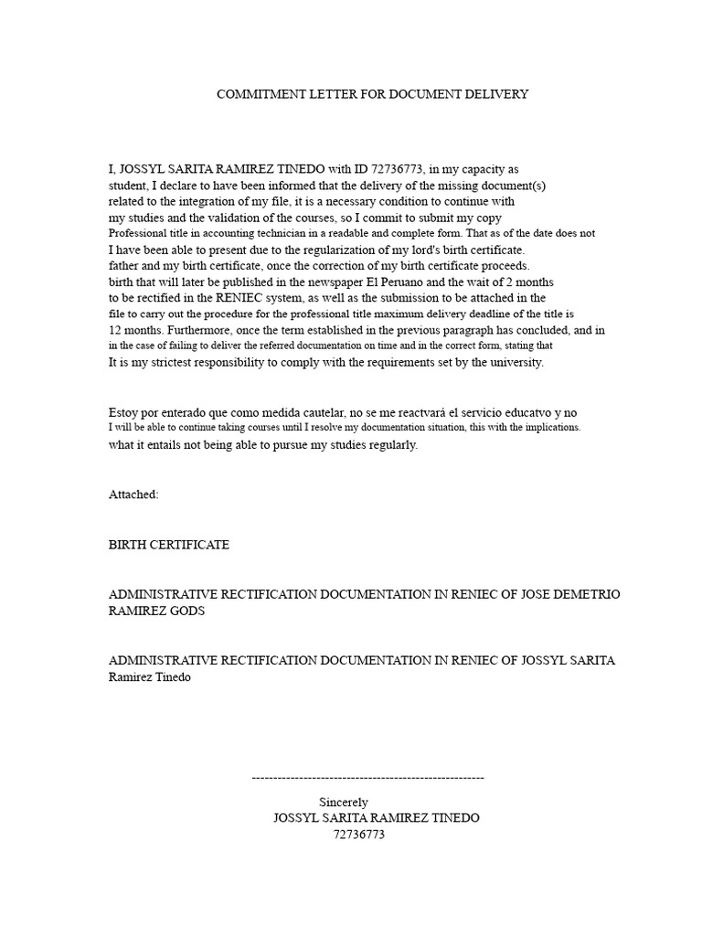 Commitment Letter for Document Submission | PDF