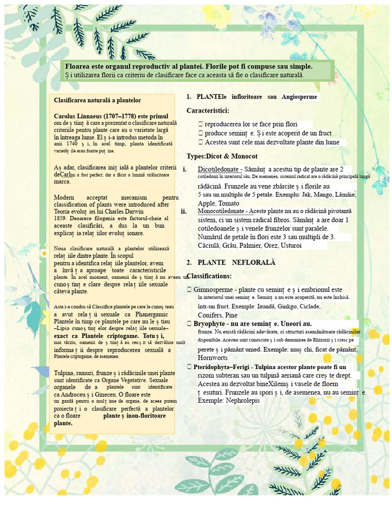 Plantele Înfloritoare Și Plantele Neînflorescent | PDF