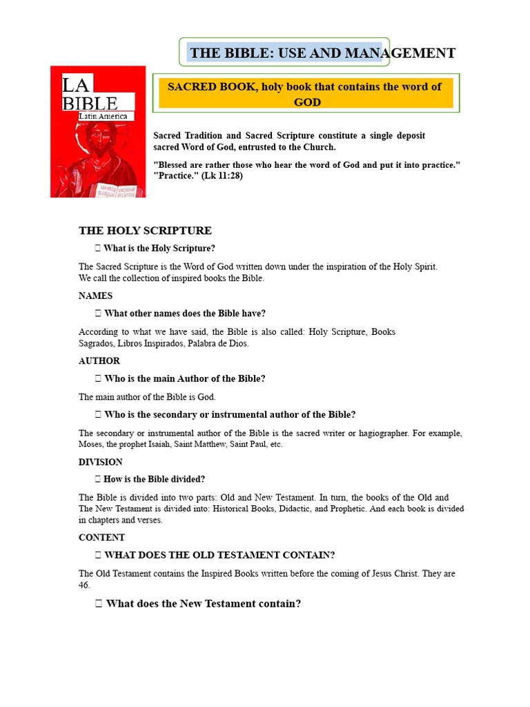 Bible Overview: Structure and Usage | PDF | New Testament | Old Testament