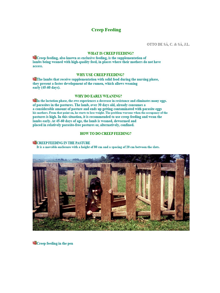 Creep Feeding Sheep | PDF | Sheep | Weaning