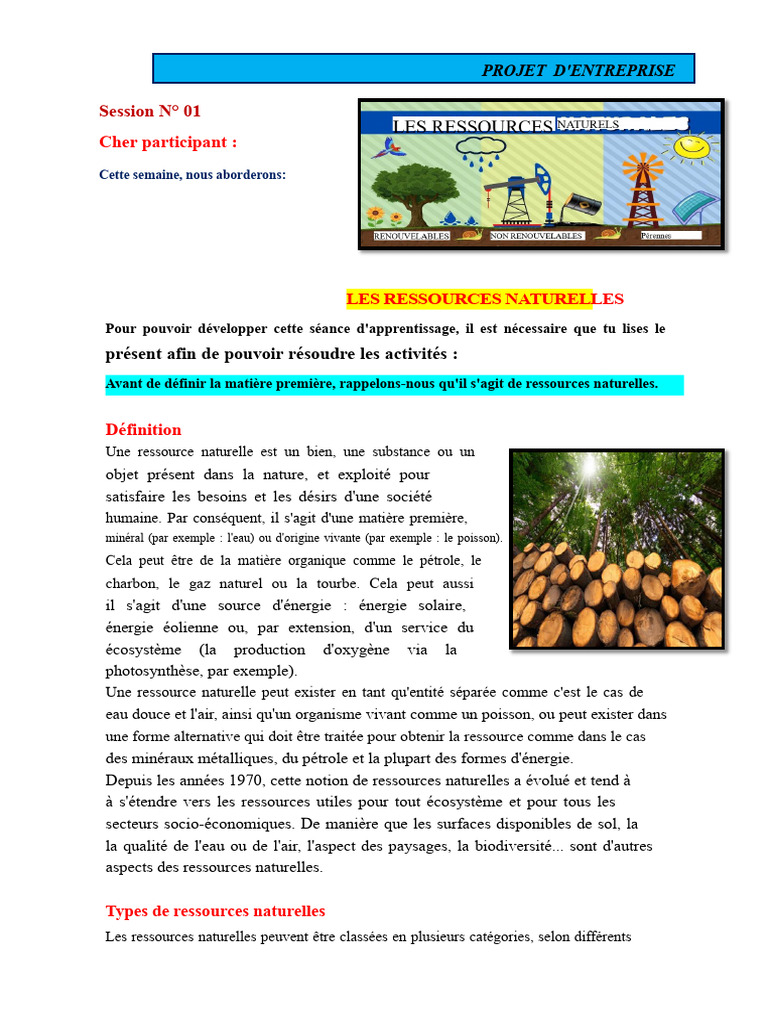 Comprendre les ressources naturelles et matières premières | PDF ...