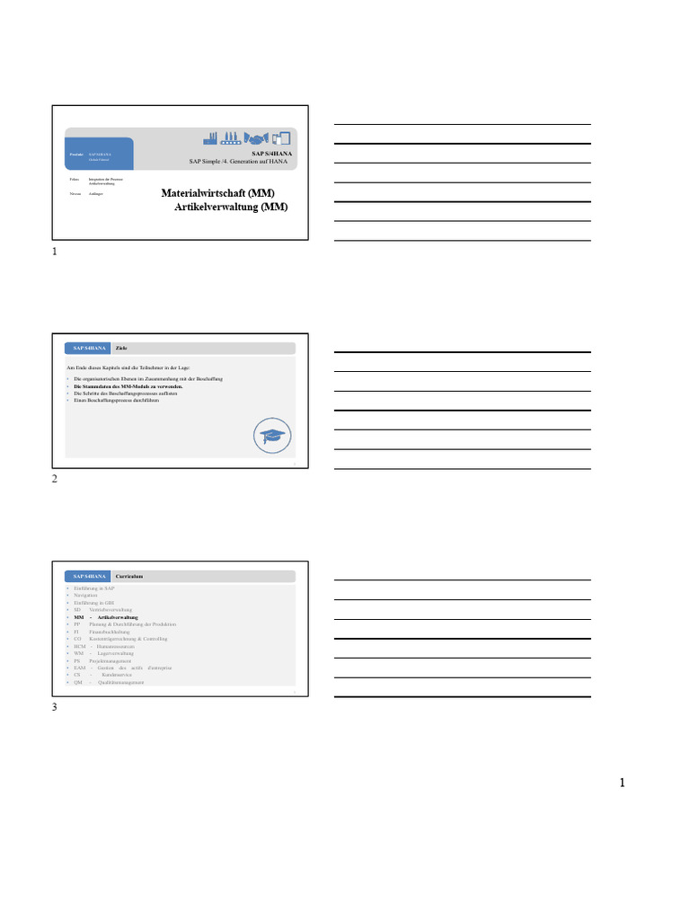SAP-Kurs Modul MM | PDF