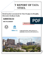 Revised Project Report of Tata Steel33333333333333