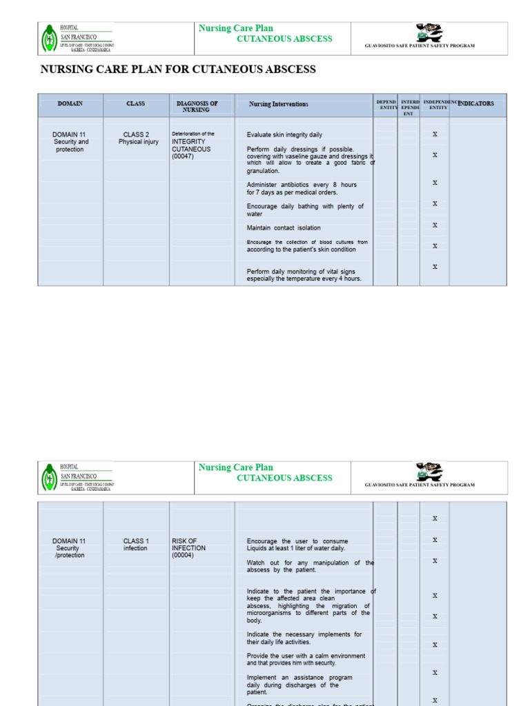Nursing Care Plan for Cutaneous Abscess | PDF | Nursing | Infection
