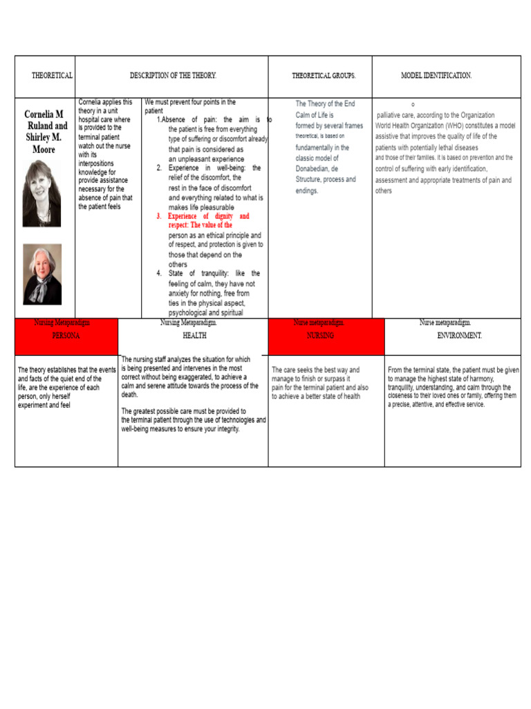 Theoretical Cornelia M Ruland | PDF | Well Being | Psychology