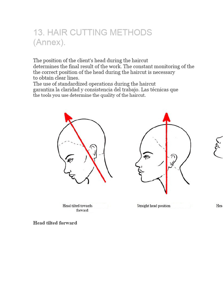hair distribution | PDF | Hairstyle | Cartesian Coordinate System