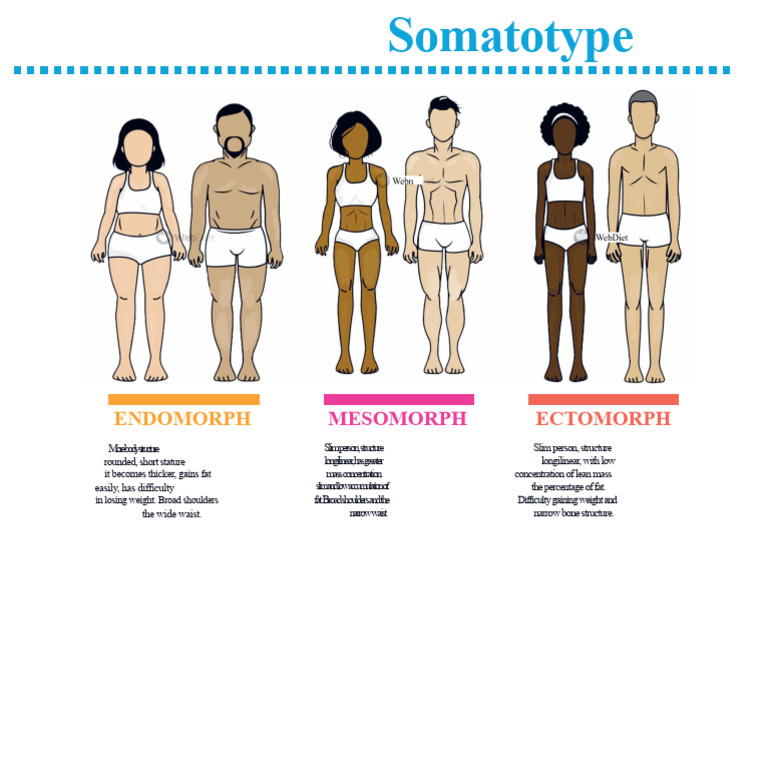 Understanding Somatotypes: Endomorph, Mesomorph, Ectomorph | PDF