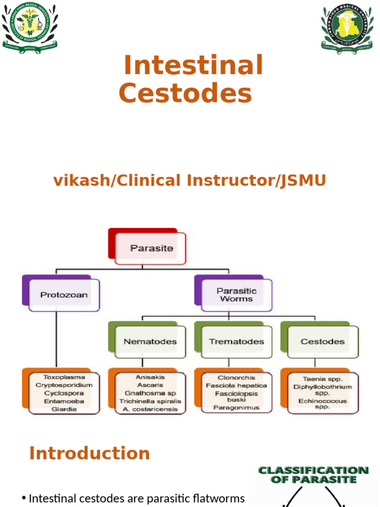 Overview of Intestinal Cestodes | PDF | Microbiology | Parasitology