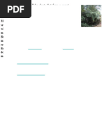 Microscopic Study of Moss Antheridia | PDF | Moss | Botany