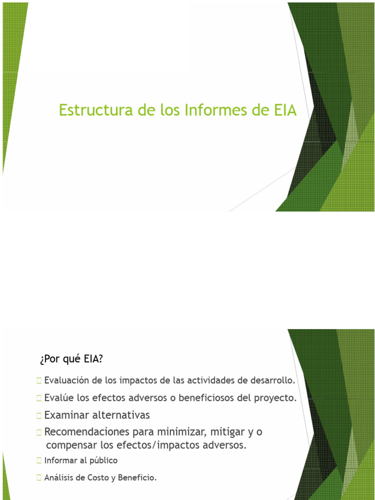 Estructura de Informes de EIA | PDF | Evaluación de impacto ambiental ...