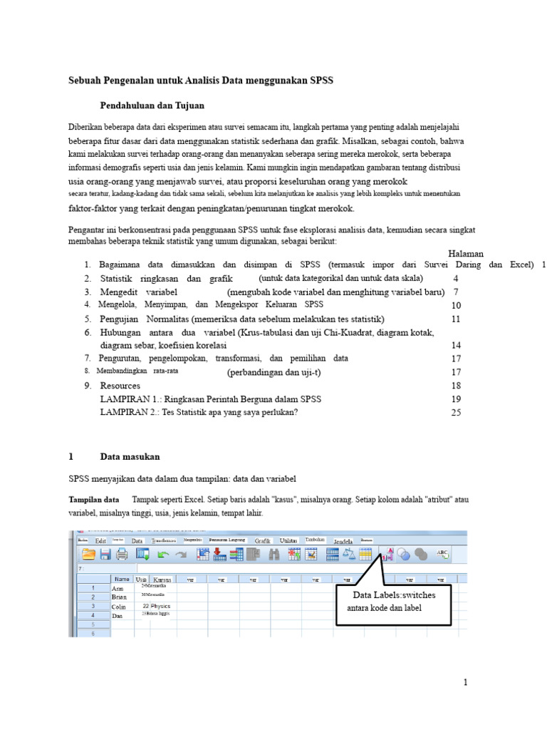 Panduan SPSS Dan Statistik | PDF