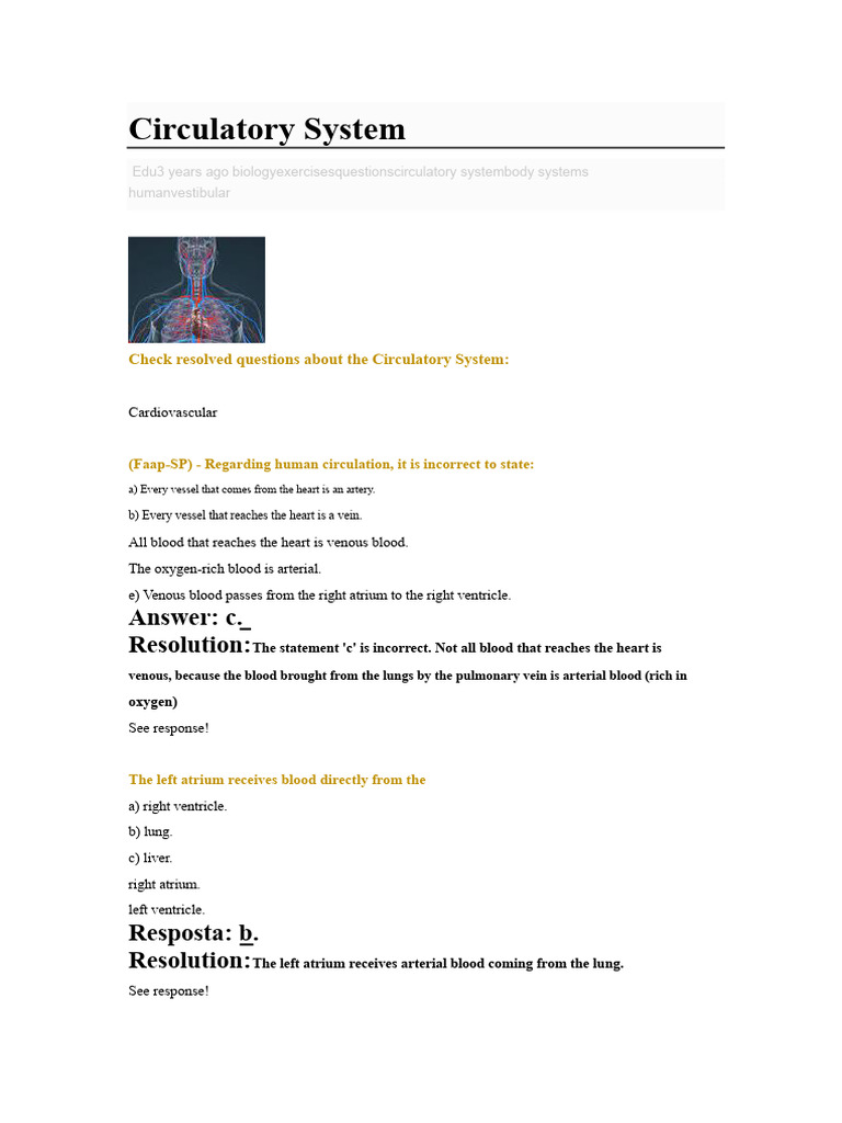 Understanding the Circulatory System | PDF | Heart | Circulatory System