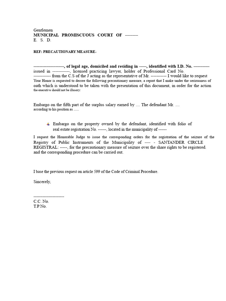 Request for Precautionary Measures in Court | PDF