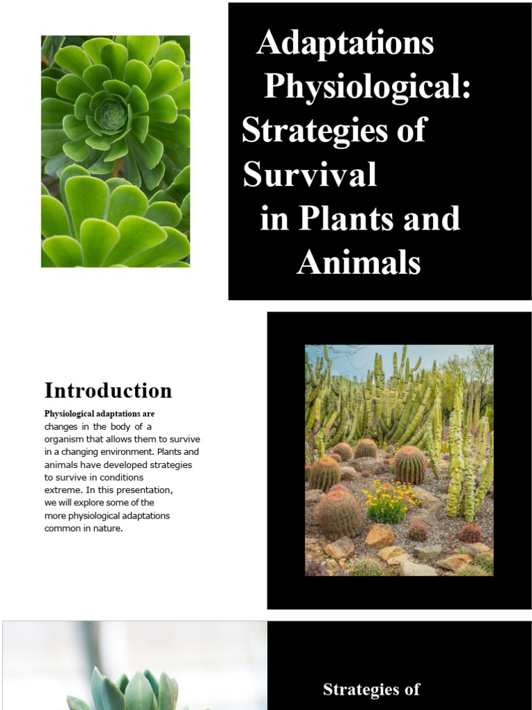 Physiological Adaptations in Nature | PDF | Natural Environment | Water