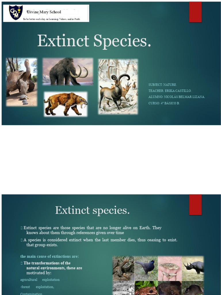 Understanding Extinct Species and Their Causes | PDF