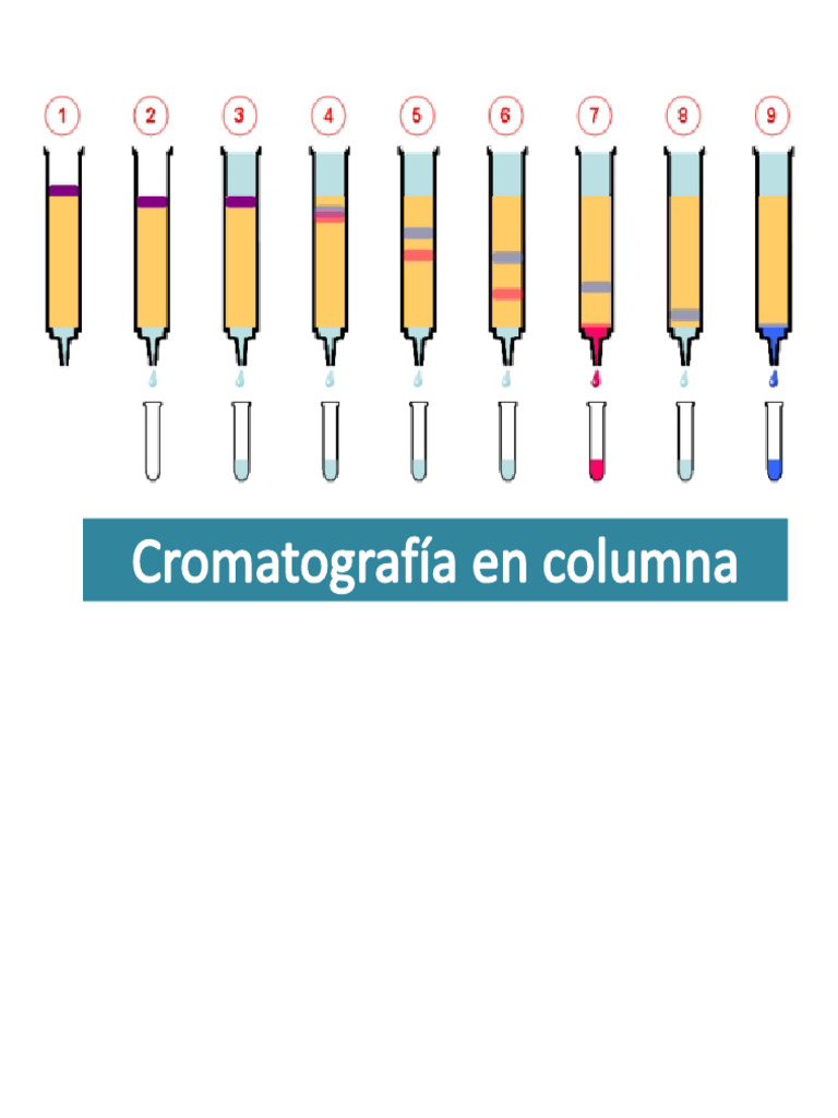 Column Chromatography Techniques Explained | PDF