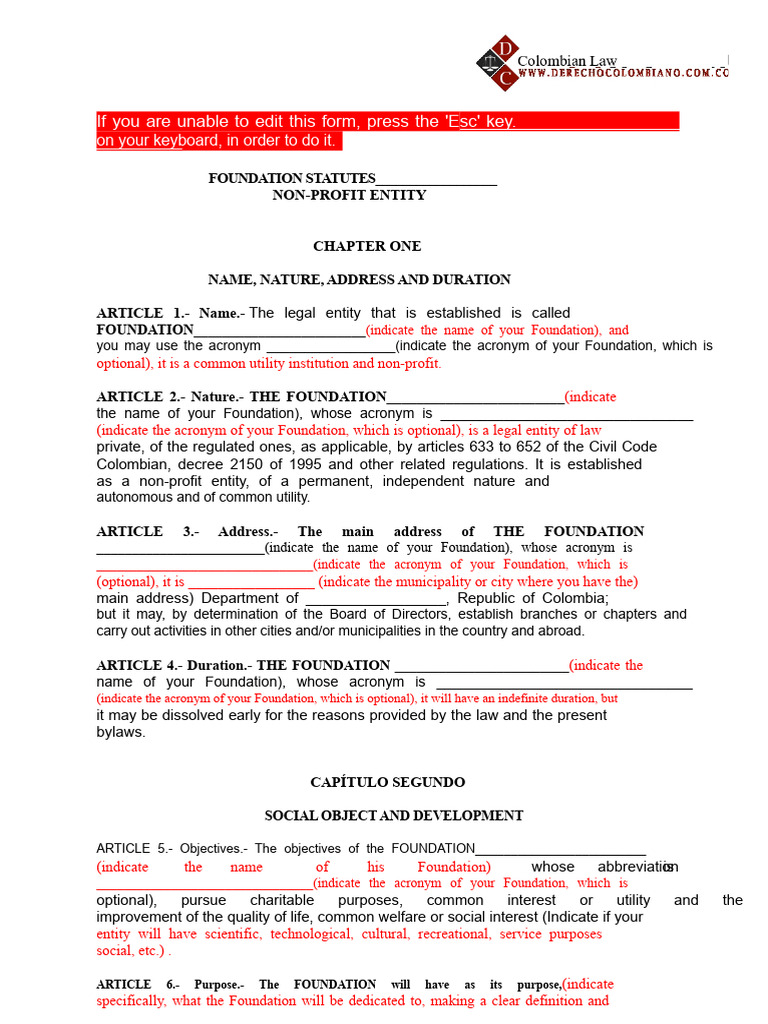 Foundation Statutes for Non-Profit Entity | PDF | Board Of Directors ...