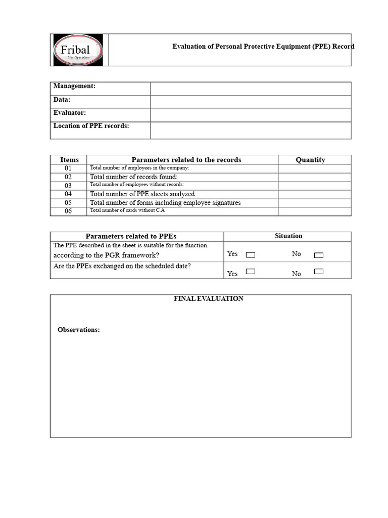 PPE Record Management Evaluation Report | PDF