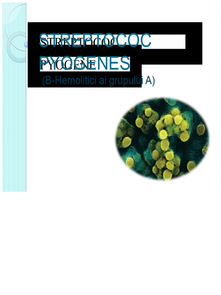 Streptococcus Pyogenes | PDF