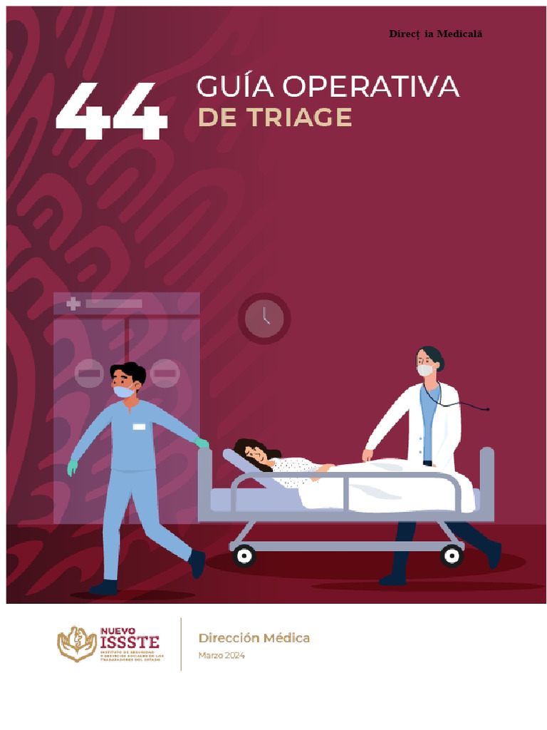 44 - Ghid Operativ Triage - V 190324 | PDF