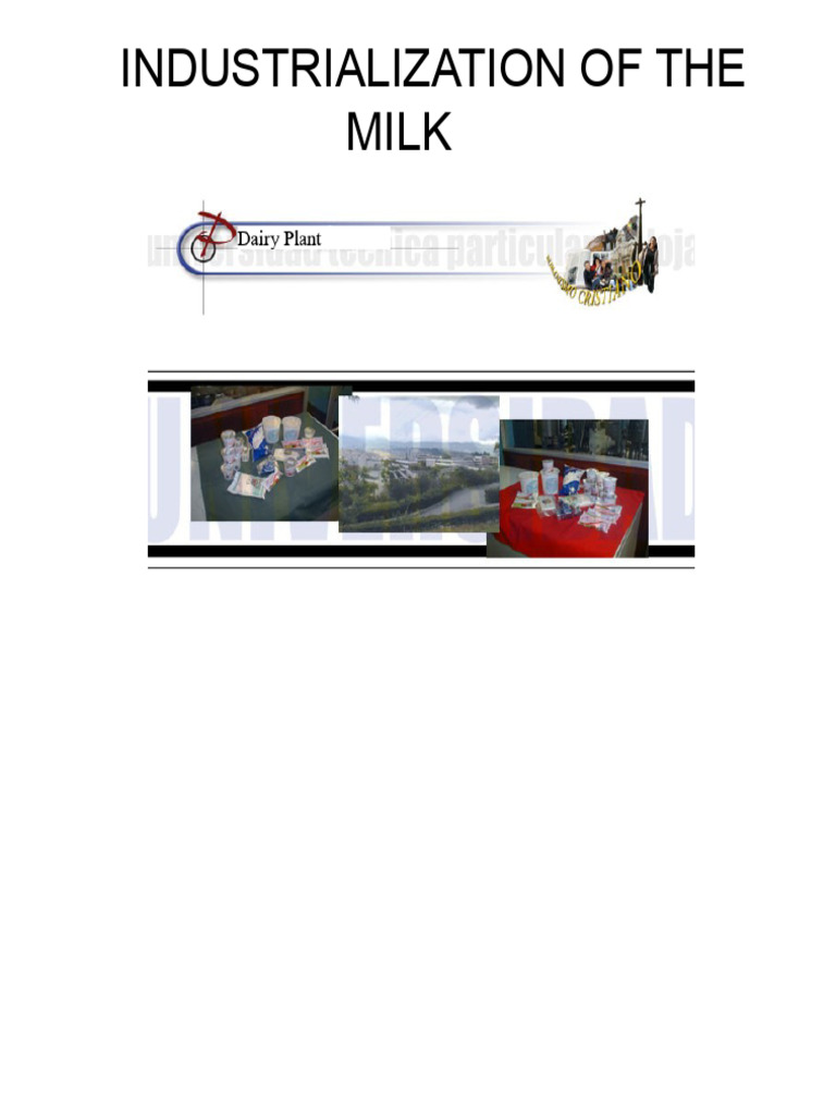 Industrial Milk Pasteurization Process | PDF | Milk | Food Preservation