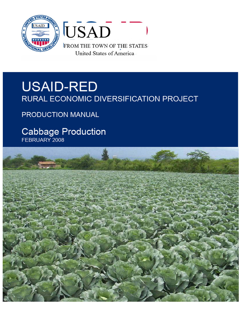 Cabbage Production Manual Guide | PDF | Soil | Lime (Material)