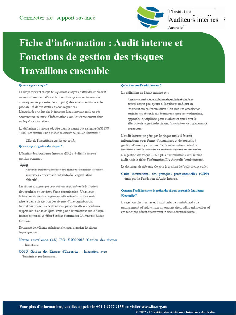 Audit interne et gestion des risques | PDF | Audit | Gestion des risques