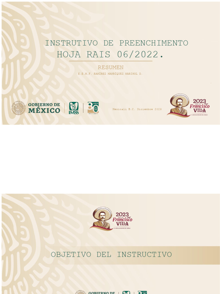 INSTRUTO DE PREENCHIMENTO RAIS RESUMO | PDF | Gravidez | Câncer de mama