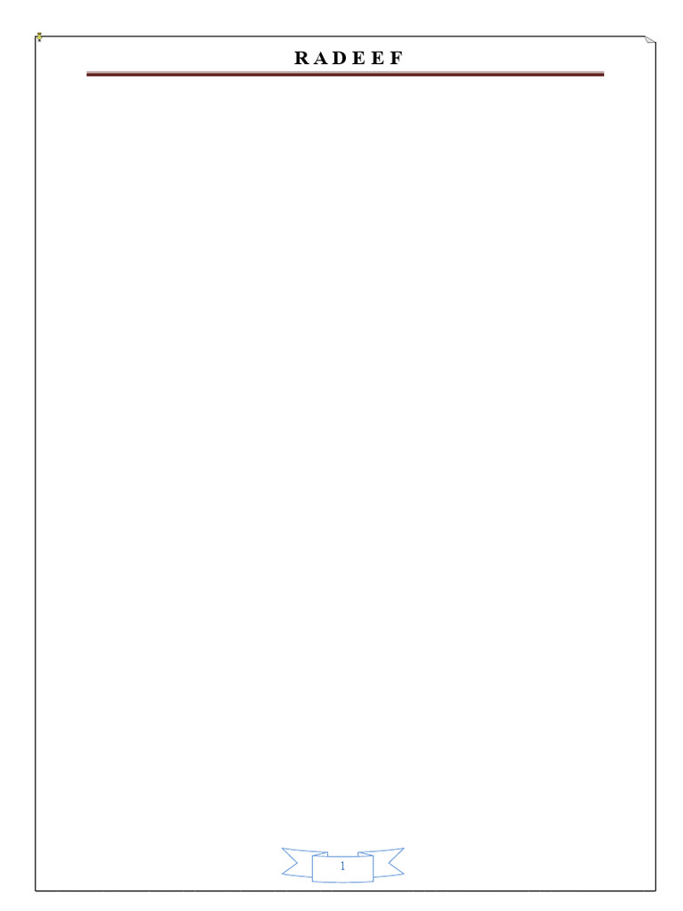 Praktikumsbericht Die RADEEF | PDF