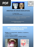 Download Maxilo Facial by Irene Cristina SN9661969 doc pdf