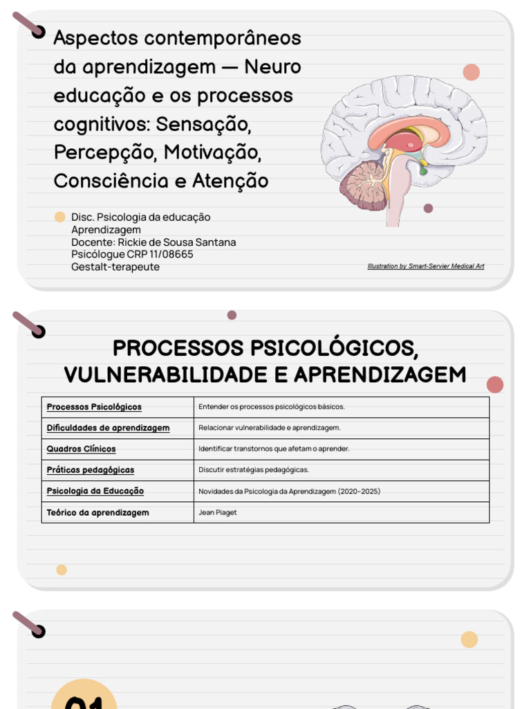 Neuroeducação: Processos Cognitivos e Aprendizagem | PDF | Emoções ...