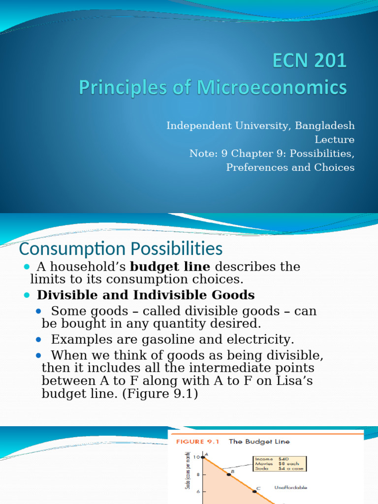 Consumption Choices and Preferences Explained | PDF | Economic Theories ...