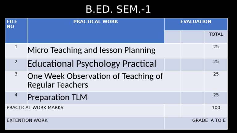 B.Ed SEM-1 Practical Work Evaluation | PDF