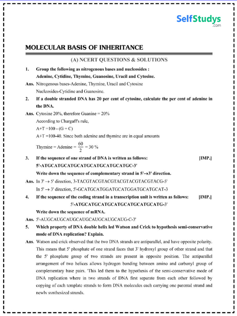 CBSE 12th Biology Molecular Basis of Inheritance | PDF